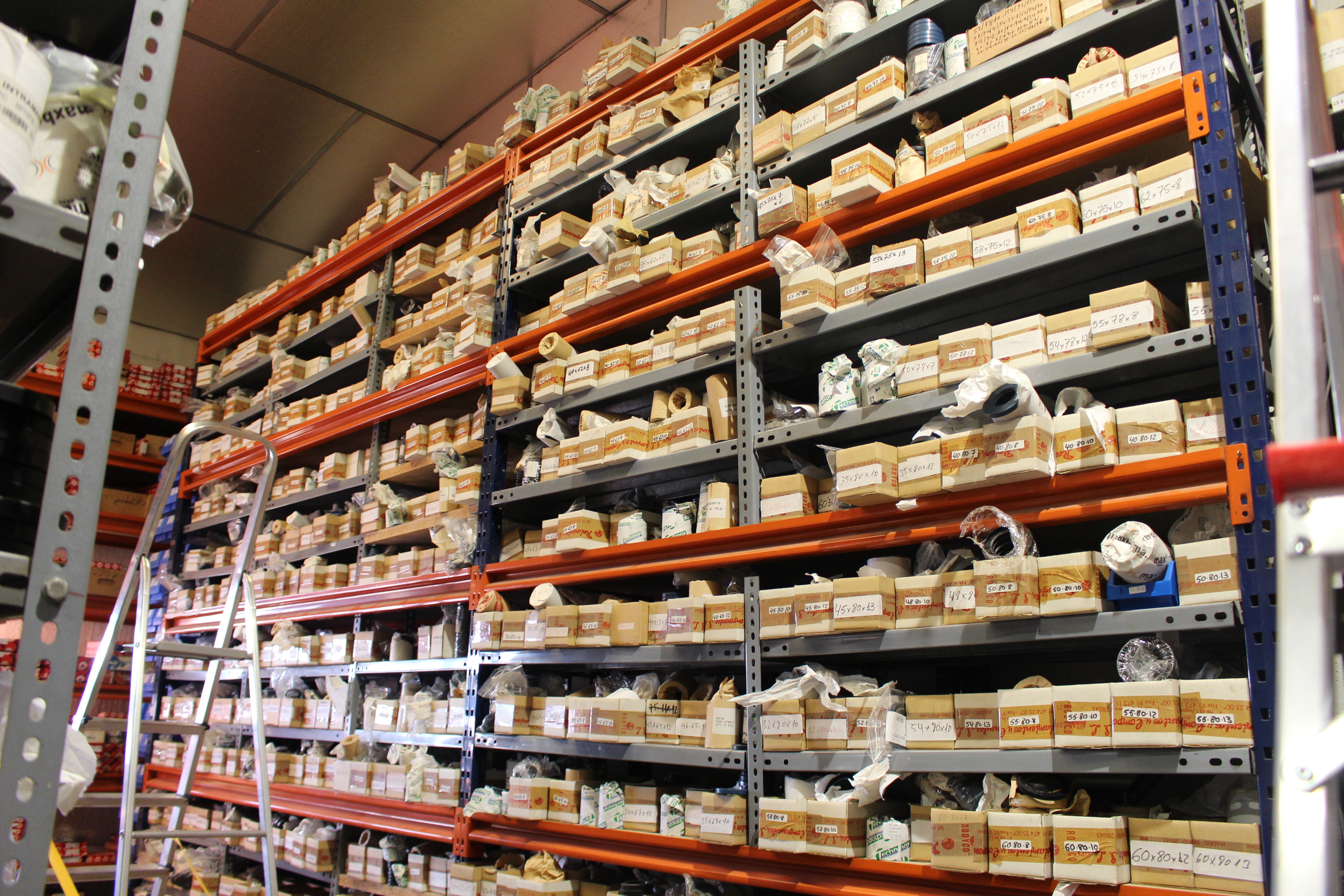 Equipo de Rodyco trabajando en almacén